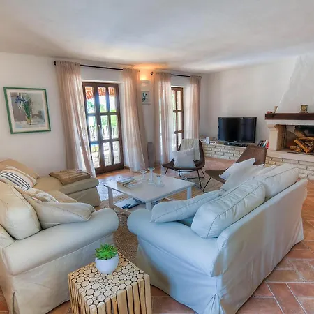 Oxalis * بوريتش